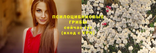 синтетический гашиш Алексеевка