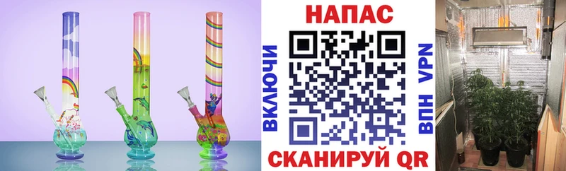 Бошки марихуана SATIVA & INDICA  как найти наркотики  Медынь 
