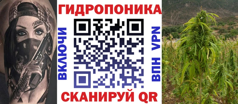 Канабис сатива Медынь